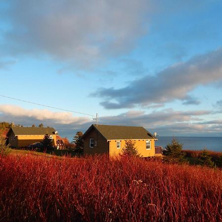 Les Chalets Brise-de-Mer Sainte-Therese-de-Gaspe Eksteriør bilde