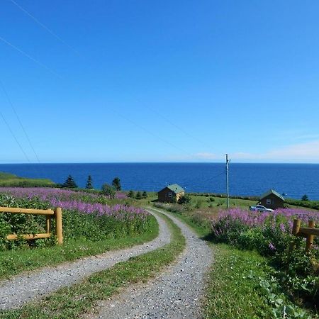 Les Chalets Brise-de-Mer Sainte-Therese-de-Gaspe Eksteriør bilde