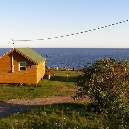 Les Chalets Brise-de-Mer Sainte-Therese-de-Gaspe Eksteriør bilde