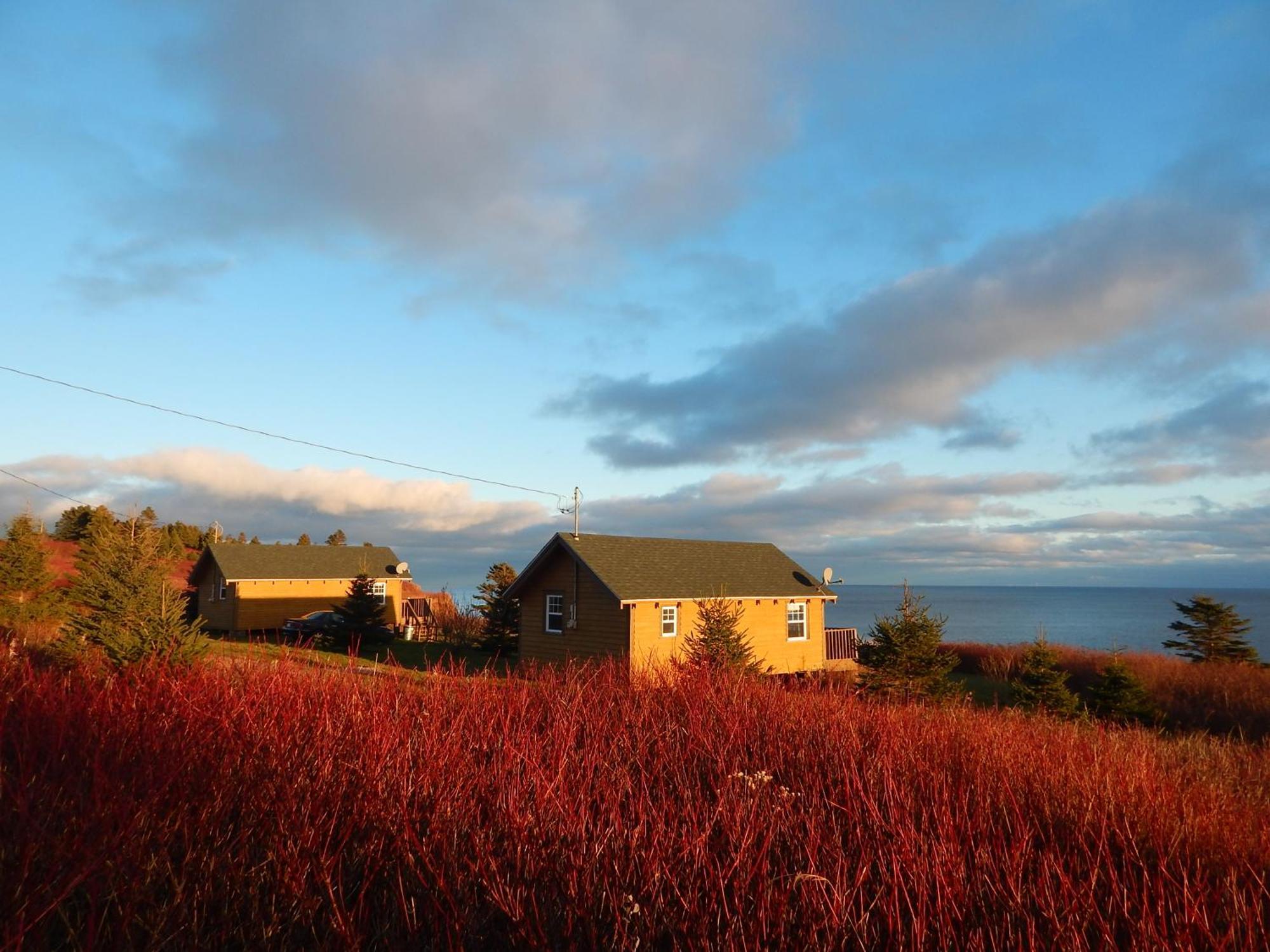 Les Chalets Brise-de-Mer Sainte-Therese-de-Gaspe Eksteriør bilde