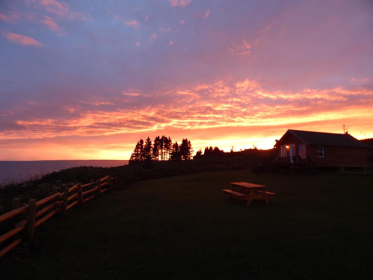 Les Chalets Brise-de-Mer Sainte-Therese-de-Gaspe Eksteriør bilde
